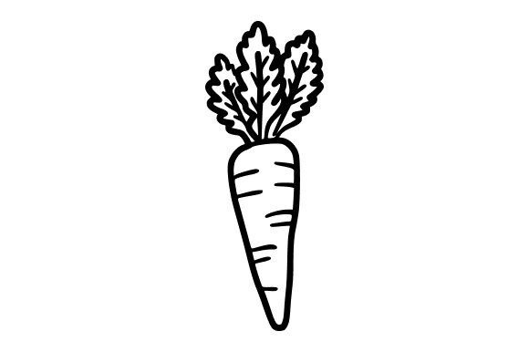 Carrot Line Art Graphics: Illustrations for Local Branding